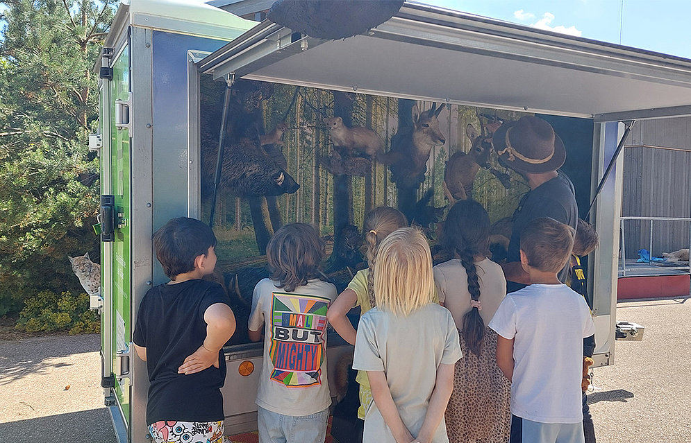 Jäger Max Vogel zu Besuch an der Schöpflin Schule mit seinem Info-Mobil »Lernort Natur«, Eine Gruppe von Schüler:innen steht vor einem Autoanhänger, in dem ausgestopfte Tiere zu sehen sind.  