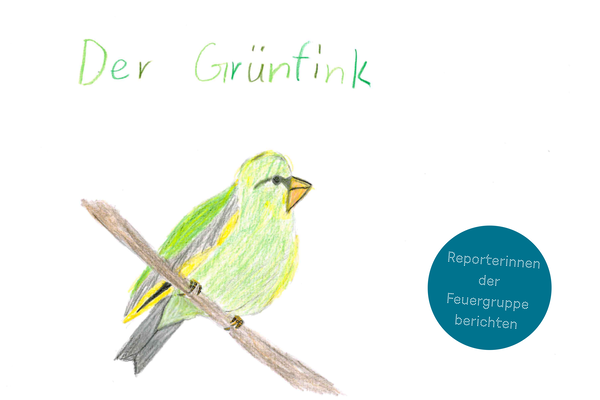 Schulstunde der Gartenvögel, Zeichnung von Greta aus der Feuergruppe