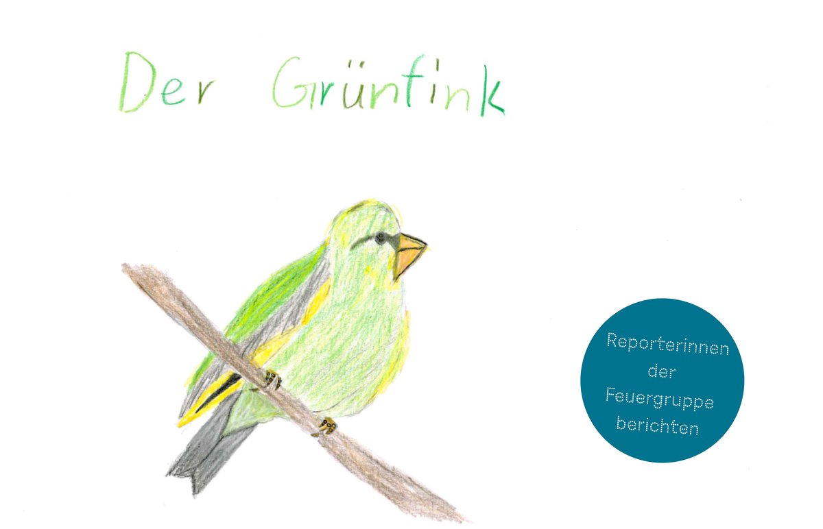 Schulstunde der Gartenvögel, Zeichnung von Greta aus der Feuergruppe