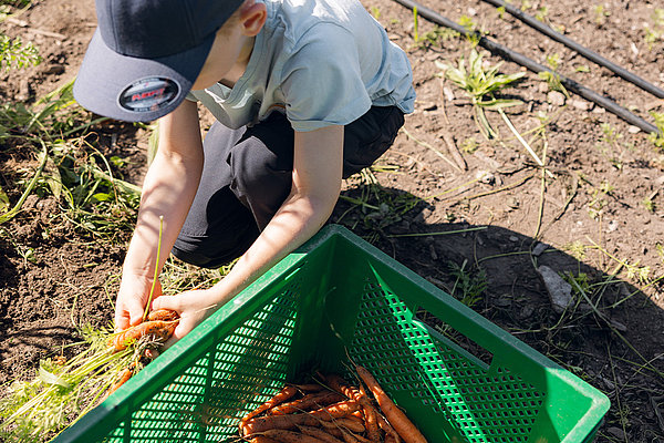 Themewoche Nachhaltigkeit an der Schöpflin Schule | Foto: Lucia Hofmaier