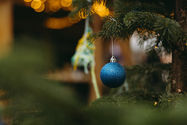 Wunschbaum auf dem FABRIC Areal