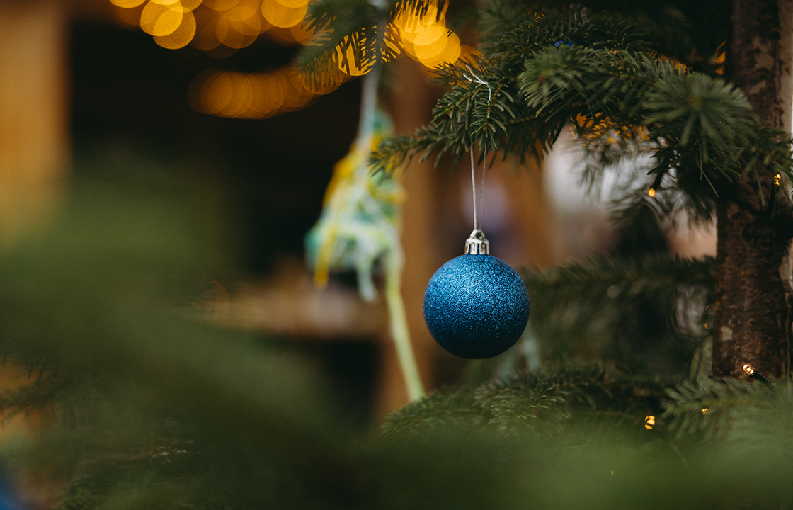 Wunschbaum auf dem FABRIC Areal