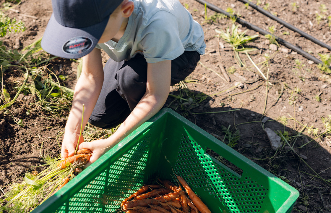 Themewoche Nachhaltigkeit an der Schöpflin Schule | Foto: Lucia Hofmaier