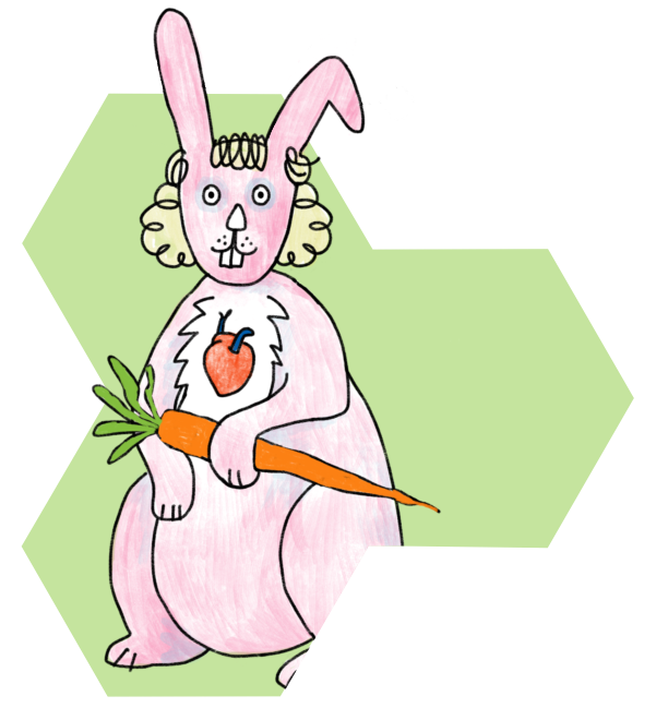 Hase Schöpflin Schule