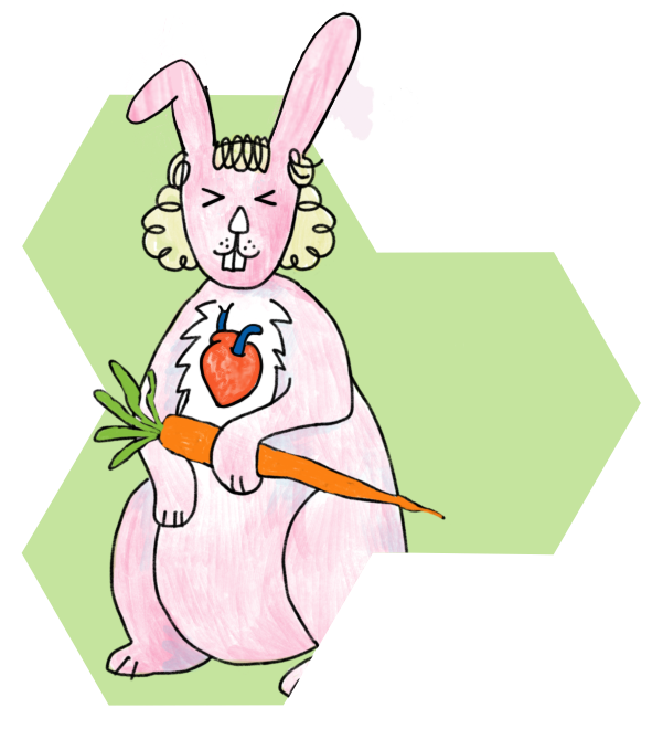 Hase Schöpflin Schule