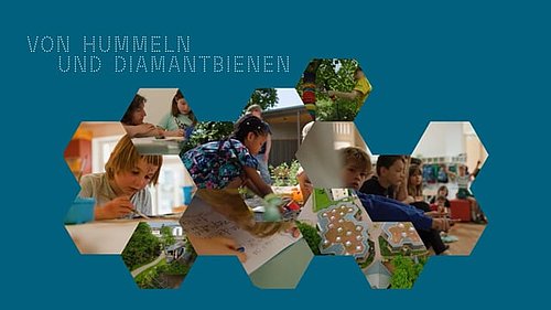 Von Hummeln und Diamantbienen - Schoepflin Schule, Schöpflin Stiftung